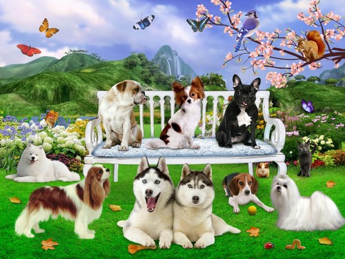 Puzzle cani animali - , "nuovo"