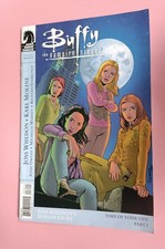 Buffy The Vampire Slayer Season 8 #16 (BTVS S8) - Variant Cover First Print Run