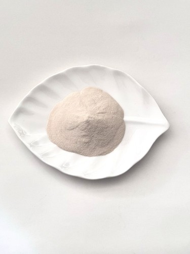 Agar polvere grande gel - polvere,