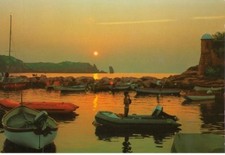 Grosseto island lily - grosseto,