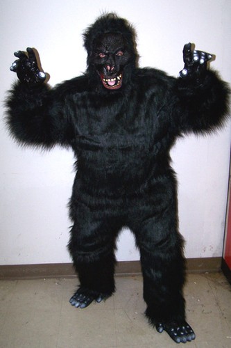 Costume esperto gorilla - esperto,