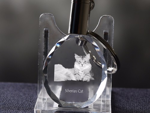 Gatto siberiano portachiavi - siberiano,,