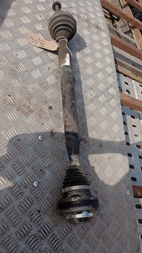 Albero trasmissione - di,