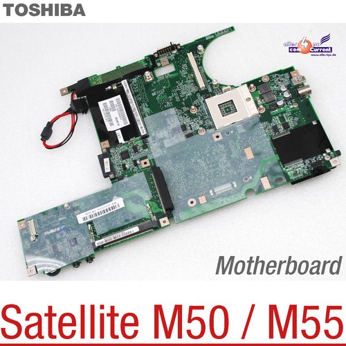 Scheda madre k000030040 - scheda,