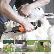 TOSATRICE PECORA PECORE