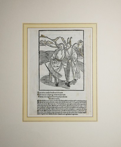 Nave sciocca stultifera - stultifera, navis