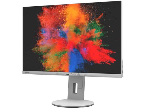 Fujitsu b2410we monitor - fujitsu,
