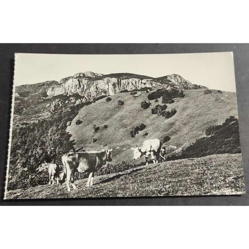 Cartolina val aveto m - val,