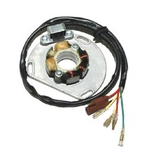 ELECTROSPORT STATORE STATOR
