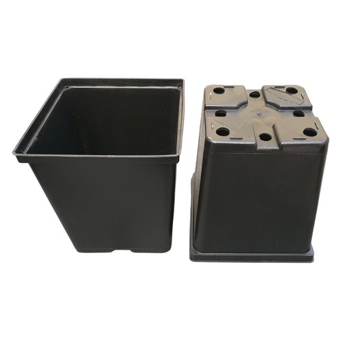 100 vaso per - per, 2