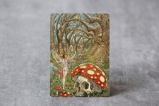 Culla Terra Funghi Veleno di