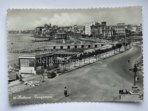 Nettuno lungomare bar - bar, roma