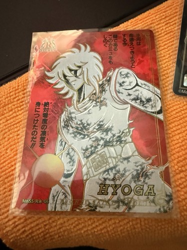 Hyoga kayou saint seiya manga - kayou,
