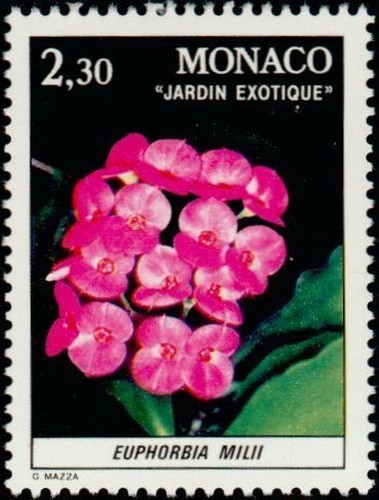Monaco 1308 giardino - n°,