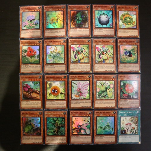 Lotto carte naturia in - lotto, 20