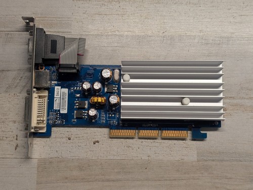 Scheda video pny - scheda,