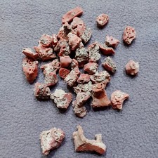 Vecchio Stock Corallo Rosso Naturale Grezzo Gemma Non Lucidato Vintage Italia...