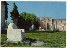 TORCELLO - VENEZIA - LA POLTRONA DI ATTILA -24205-