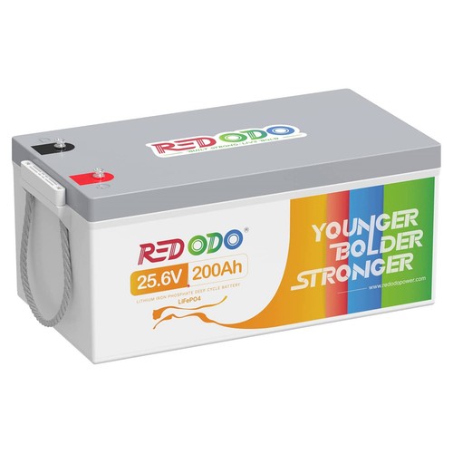 Redodo lifepo4 batteria 24v - lifepo4,
