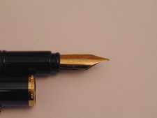 penna stilografica waterman