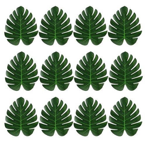 Foglie palma tropicali - foglie,