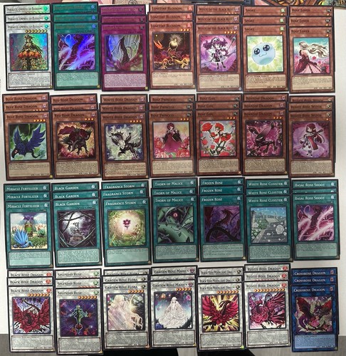 Mazzo drago rosa pianta yugioh - rosa,