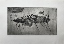 Acquatinta Incisione Paesaggio
