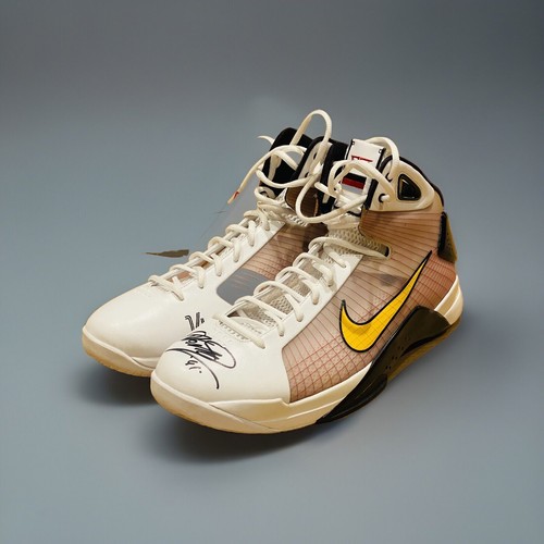 Dirk nowitzki player sample - sample, pe