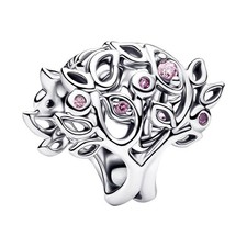Pandora Gioielli Argento Charm
