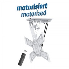 My Wall HL 40 MWL TV Supporto