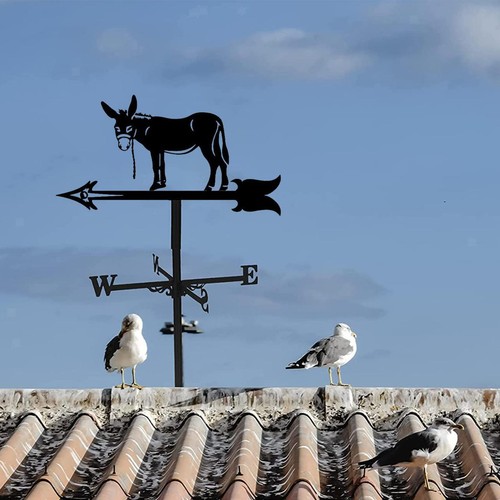 Banderuola segnavento per - banderuola,