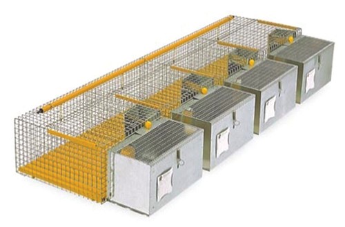 Cestello fattrici gabbia - cestello, 4