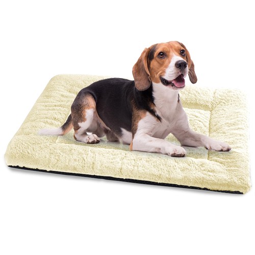 Cuccia cane interno - cuccia,