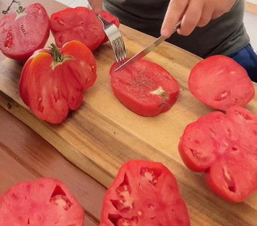 Semi pomodoro pomodori da - semi,