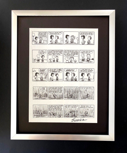 Charles schulz cartone - schulz,