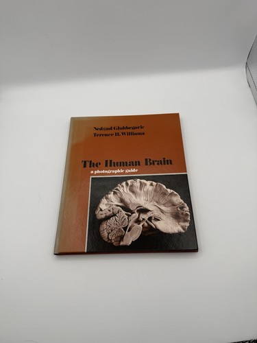 The human brain a - human, brain: