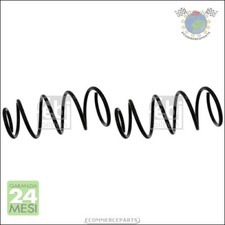 2x Molle ammortizzatori