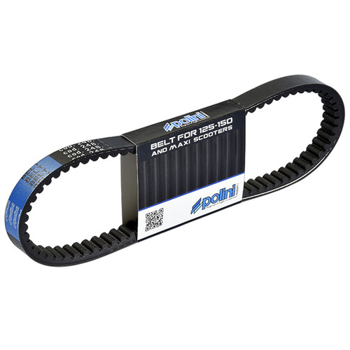 Cinghia trasmissione variatore - cinghia,
