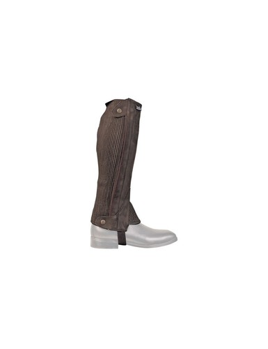 Gambali ghette equitazione - , in