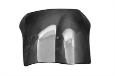 Deflettore del vento Carbonio