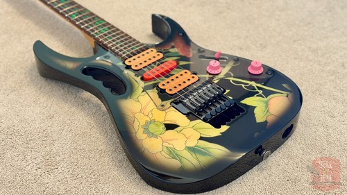 Collectors grade chitarra - -,