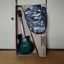 Chitarra acustica elettrica