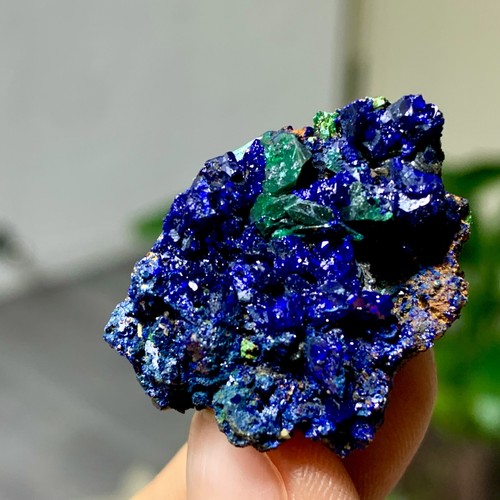 13g migliori esemplari - 13g, di