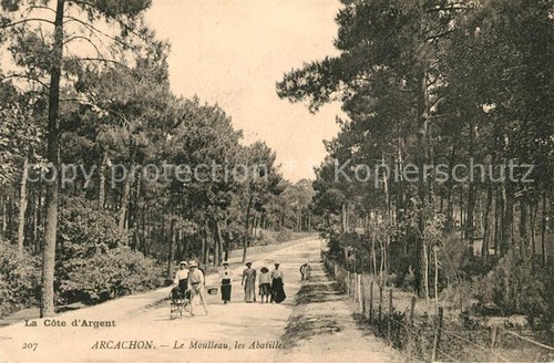 Arcachon gironde moulleau - gironde, le