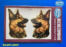 pastore tedesco decalcomanie