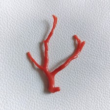 Corallo naturale rosso grezzo