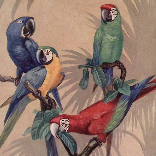Agosto 1928 country life karl - 1928,