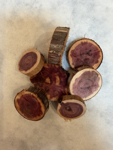 Dischi profumo cedro - dischi,