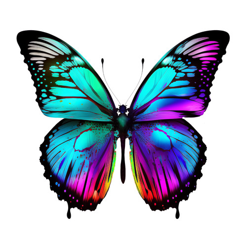 Adesivi auto sticker - auto,