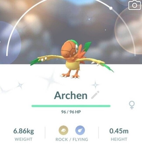 Shiny archen t - ✨,